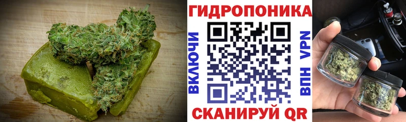 Купить закладки  Фролово  Canna-Cookies конопля