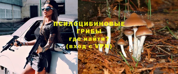 амфетамин Горнозаводск