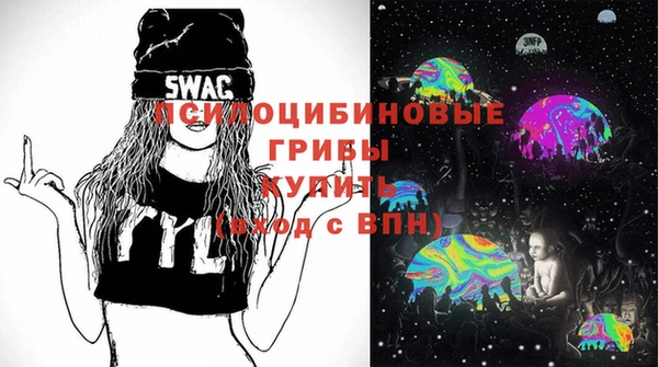 бошки Снежинск