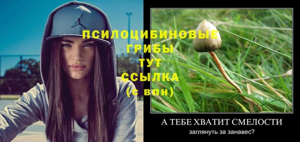 амфетамин Горнозаводск