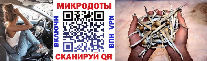 Купить  Фролово  Псилоцибиновые грибы Magic Shrooms 